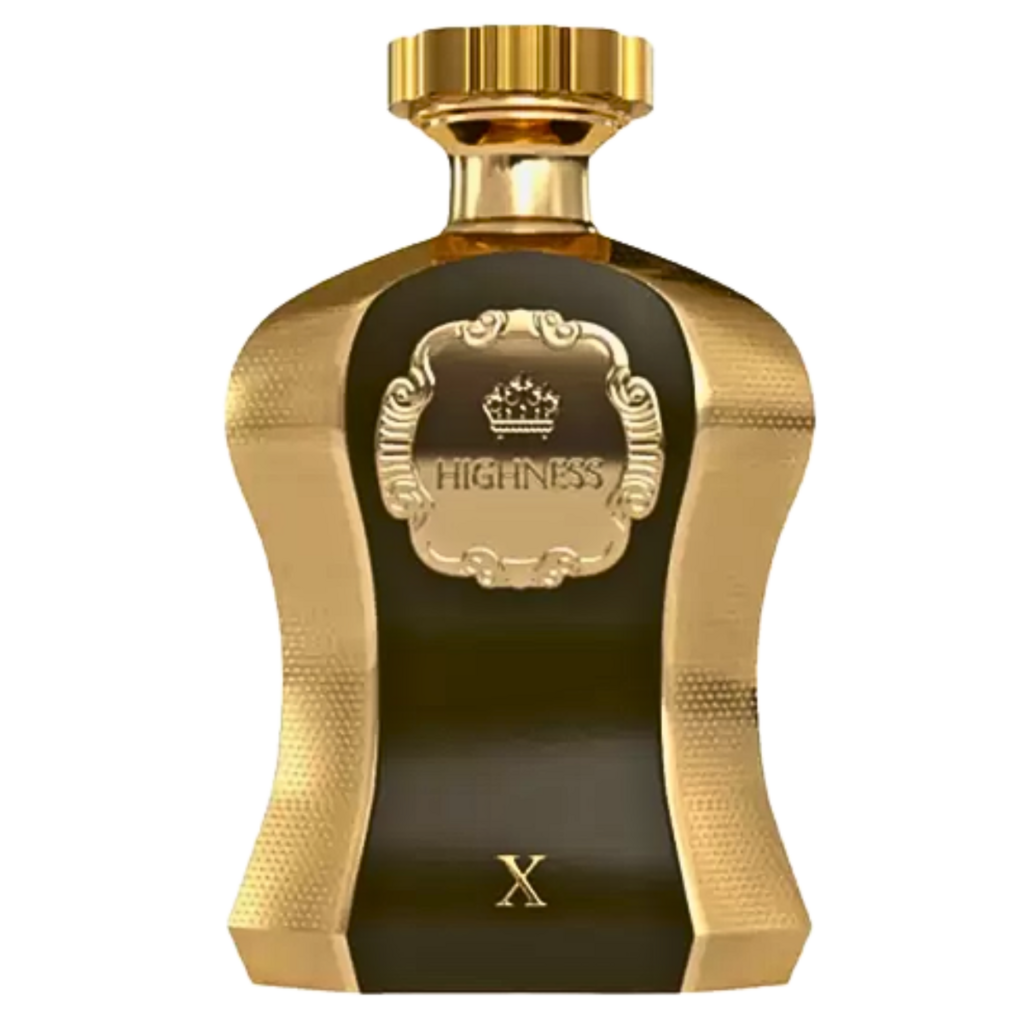 Perfume Arabe Afnan Highness X EDP 100ml Masculino